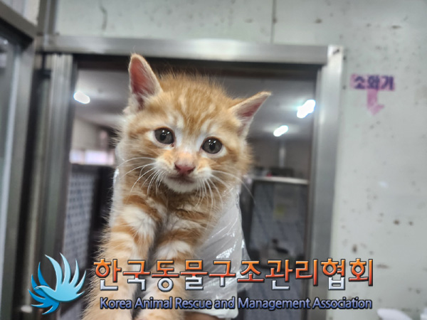한국동물구조관리협회_441406202401899